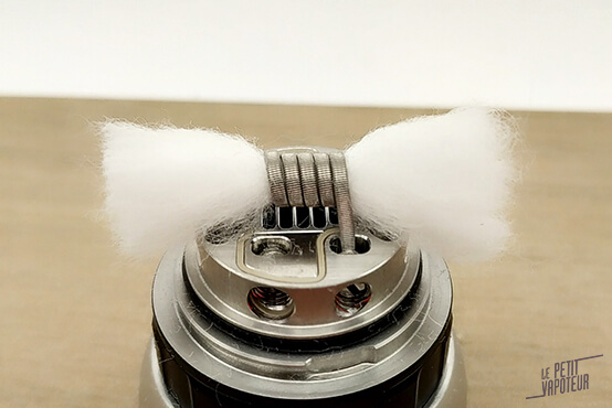 Fat Rabbit Solo LPV meche